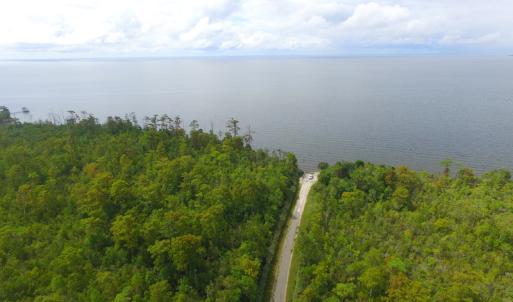 Photo #12 of SOLD property in Off Texas Road, Shiloh, NC 1,340.0 acres