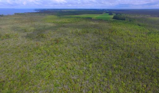Photo #14 of SOLD property in Off Texas Road, Shiloh, NC 1,340.0 acres