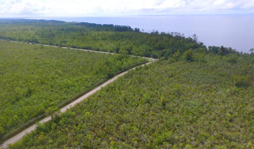 Photo #15 of SOLD property in Off Texas Road, Shiloh, NC 1,340.0 acres