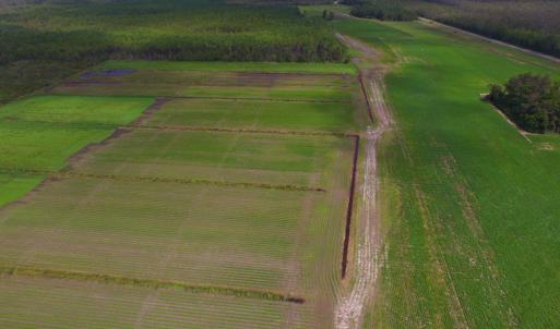 Photo #18 of SOLD property in Off Texas Road, Shiloh, NC 1,340.0 acres