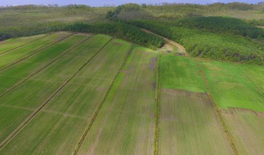 Photo #20 of SOLD property in Off Texas Road, Shiloh, NC 1,340.0 acres