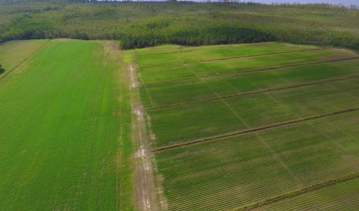 Photo #21 of SOLD property in Off Texas Road, Shiloh, NC 1,340.0 acres
