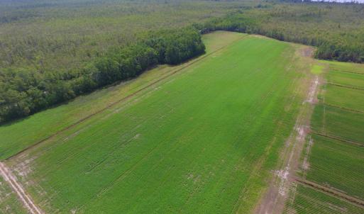 Photo #22 of SOLD property in Off Texas Road, Shiloh, NC 1,340.0 acres
