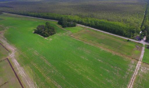 Photo #23 of SOLD property in Off Texas Road, Shiloh, NC 1,340.0 acres