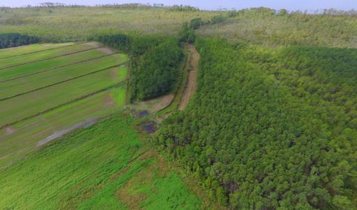 Photo #24 of SOLD property in Off Texas Road, Shiloh, NC 1,340.0 acres
