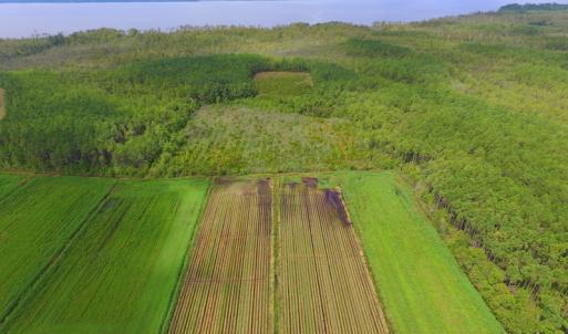 Photo #27 of SOLD property in Off Texas Road, Shiloh, NC 1,340.0 acres