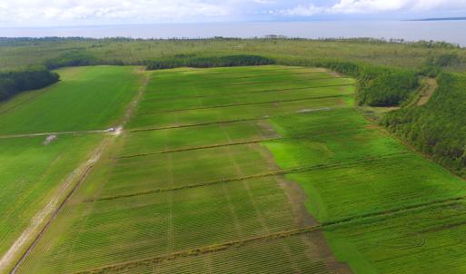 Photo #28 of SOLD property in Off Texas Road, Shiloh, NC 1,340.0 acres