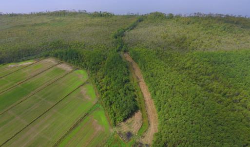 Photo #29 of SOLD property in Off Texas Road, Shiloh, NC 1,340.0 acres