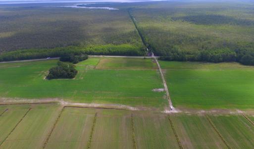 Photo #30 of SOLD property in Off Texas Road, Shiloh, NC 1,340.0 acres