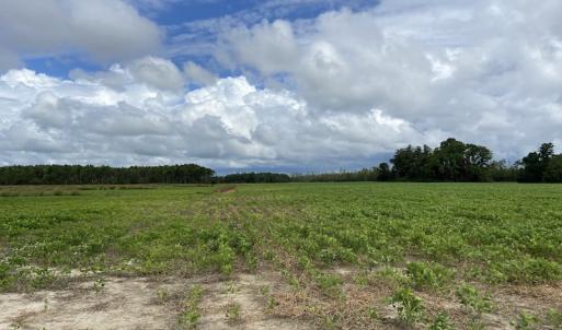 Photo #36 of SOLD property in Off Texas Road, Shiloh, NC 1,340.0 acres
