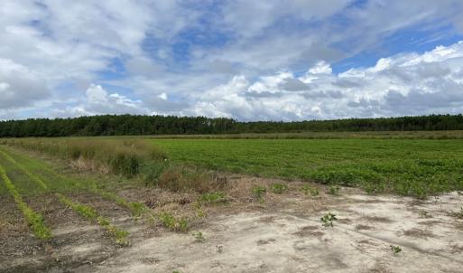 Photo #31 of SOLD property in Off Texas Road, Shiloh, NC 1,340.0 acres