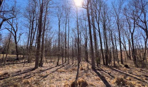 Photo #21 of SOLD property in 4835 N NC HWY 49, Burlington, NC 2.5 acres