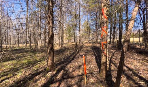 Photo #33 of SOLD property in 4835 N NC HWY 49, Burlington, NC 2.5 acres
