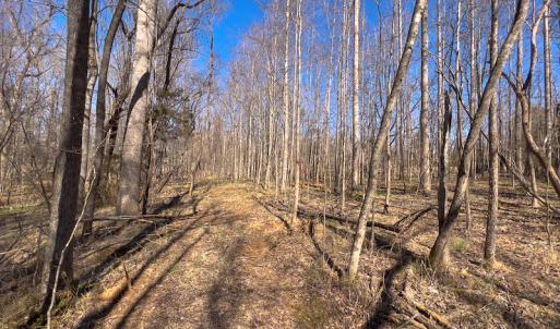 Photo #7 of SOLD property in 4835 N NC HWY 49, Burlington, NC 2.5 acres