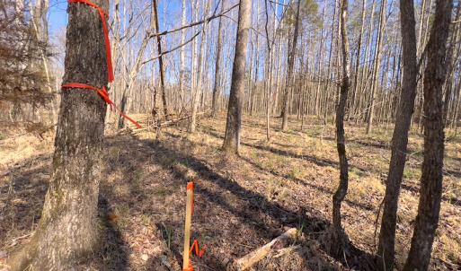 Photo #9 of SOLD property in 4835 N NC HWY 49, Burlington, NC 2.5 acres