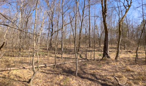 Photo #13 of SOLD property in 4835 N NC HWY 49, Burlington, NC 2.5 acres