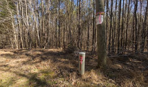 Photo #21 of SOLD property in Off Rocky Ridge Road, Oxford, NC 13.1 acres