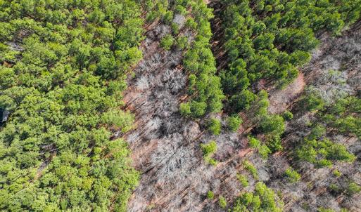 Photo #30 of SOLD property in Off Rocky Ridge Road, Oxford, NC 13.1 acres