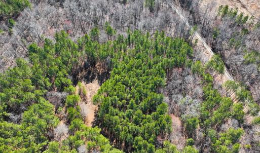 Photo #32 of SOLD property in Off Rocky Ridge Road, Oxford, NC 13.1 acres