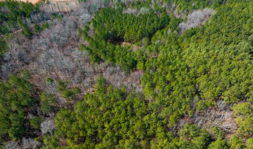 Photo #35 of SOLD property in Off Rocky Ridge Road, Oxford, NC 13.1 acres