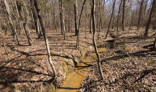 Photo #7 of SOLD property in Off Rocky Ridge Road, Oxford, NC 13.1 acres