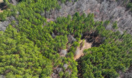 Photo #36 of SOLD property in Off Rocky Ridge Road, Oxford, NC 13.1 acres