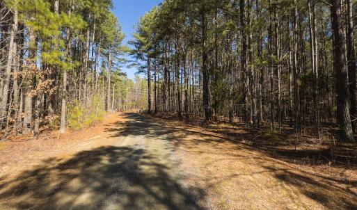 Photo #9 of SOLD property in Off Rocky Ridge Road, Oxford, NC 13.1 acres