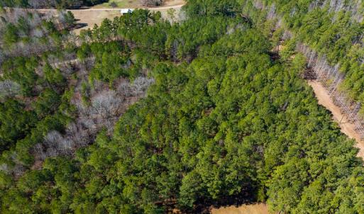Photo #14 of SOLD property in Off Rocky Ridge Road, Oxford, NC 13.1 acres