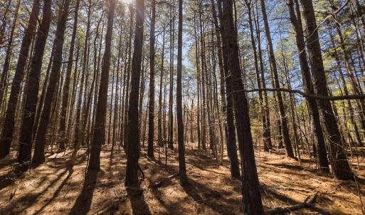 Photo #17 of SOLD property in Off Rocky Ridge Road, Oxford, NC 13.1 acres