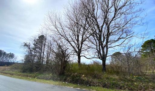 Photo #4 of SOLD property in Off White Marsh Road, Suffolk, VA 2.1 acres