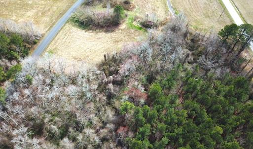 Photo #2 of SOLD property in Off White Marsh Road, Suffolk, VA 2.5 acres