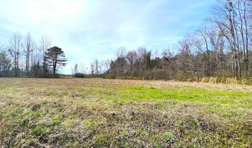 Photo #5 of SOLD property in Off White Marsh Road, Suffolk, VA 2.5 acres