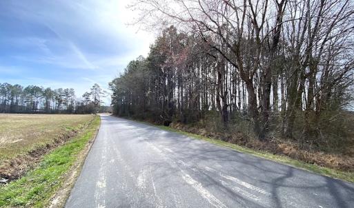 Photo #5 of SOLD property in Off White Marsh Road, Suffolk, VA 3.7 acres