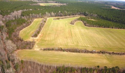 Photo #3 of SOLD property in 7245 General Mahone Hwy, Waverly, VA 62.0 acres