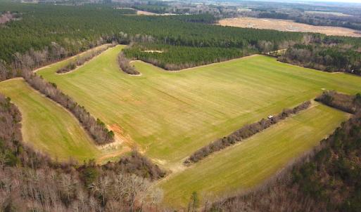 Photo #4 of SOLD property in 7245 General Mahone Hwy, Waverly, VA 62.0 acres