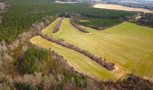 Photo #5 of SOLD property in 7245 General Mahone Hwy, Waverly, VA 62.0 acres