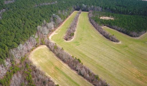 Photo #6 of SOLD property in 7245 General Mahone Hwy, Waverly, VA 62.0 acres