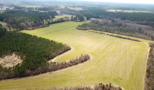 Photo #8 of SOLD property in 7245 General Mahone Hwy, Waverly, VA 62.0 acres
