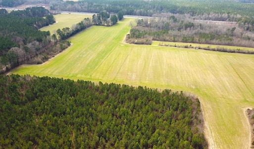 Photo #9 of SOLD property in 7245 General Mahone Hwy, Waverly, VA 62.0 acres