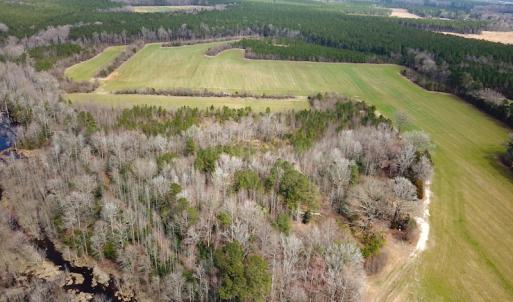 Photo #13 of SOLD property in 7245 General Mahone Hwy, Waverly, VA 62.0 acres
