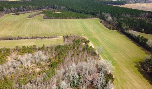 Photo #14 of SOLD property in 7245 General Mahone Hwy, Waverly, VA 62.0 acres
