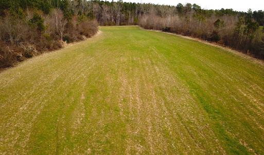 Photo #17 of SOLD property in 7245 General Mahone Hwy, Waverly, VA 62.0 acres