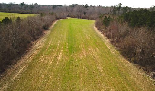 Photo #18 of SOLD property in 7245 General Mahone Hwy, Waverly, VA 62.0 acres