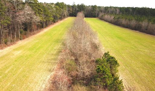 Photo #19 of SOLD property in 7245 General Mahone Hwy, Waverly, VA 62.0 acres