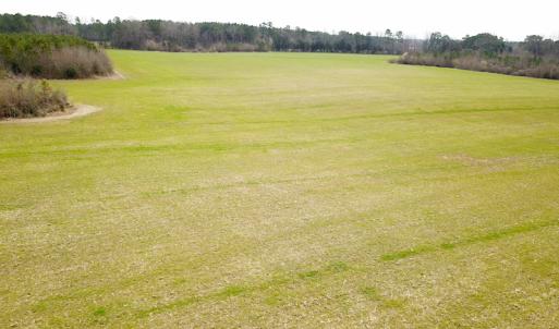 Photo #20 of SOLD property in 7245 General Mahone Hwy, Waverly, VA 62.0 acres