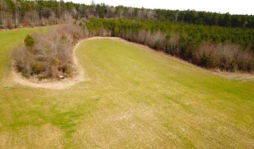Photo #21 of SOLD property in 7245 General Mahone Hwy, Waverly, VA 62.0 acres