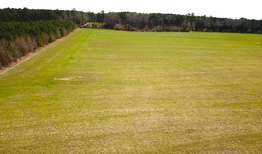 Photo #22 of SOLD property in 7245 General Mahone Hwy, Waverly, VA 62.0 acres