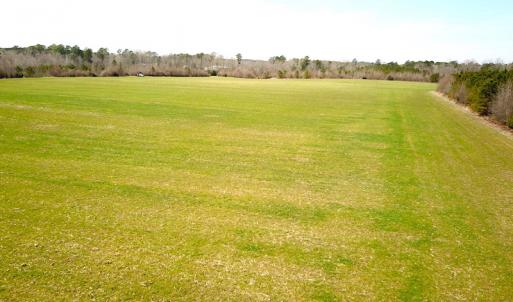 Photo #23 of SOLD property in 7245 General Mahone Hwy, Waverly, VA 62.0 acres