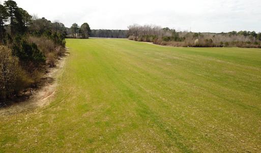 Photo #24 of SOLD property in 7245 General Mahone Hwy, Waverly, VA 62.0 acres