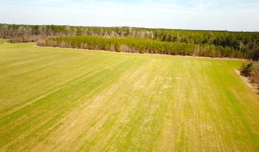 Photo #26 of SOLD property in 7245 General Mahone Hwy, Waverly, VA 62.0 acres